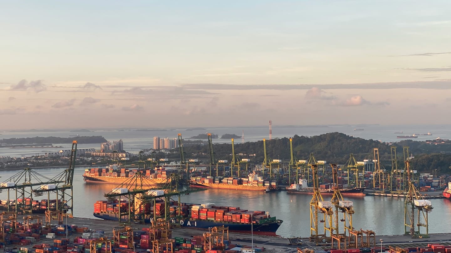 Custom web app development in React, Azure: Singapore supply chain